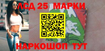 mdpv Камышлов